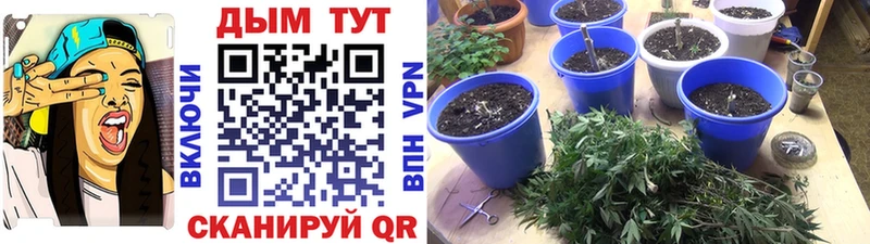 Наркошоп Шуя КОКАИН  Мефедрон  Амфетамин  Кетамин  Конопля 