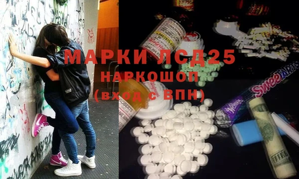гашик Пестово