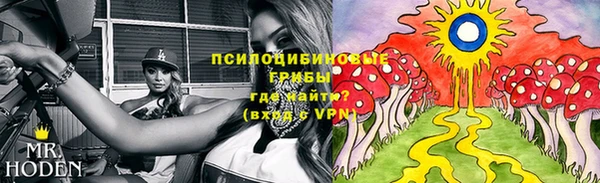 марки lsd Переславль-Залесский