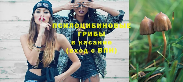 дурь Алзамай
