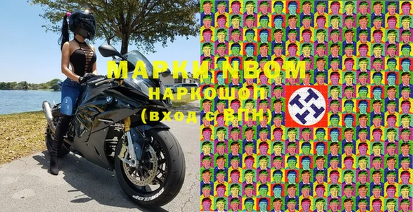 apvp Пересвет