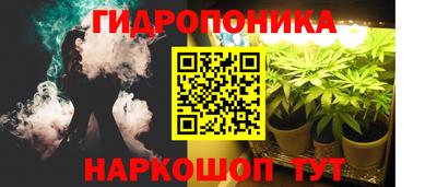 шишки Туймазы