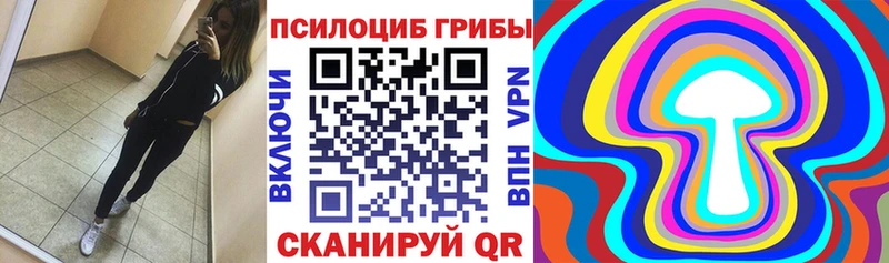 наркотики  Шуя  Псилоцибиновые грибы мицелий 