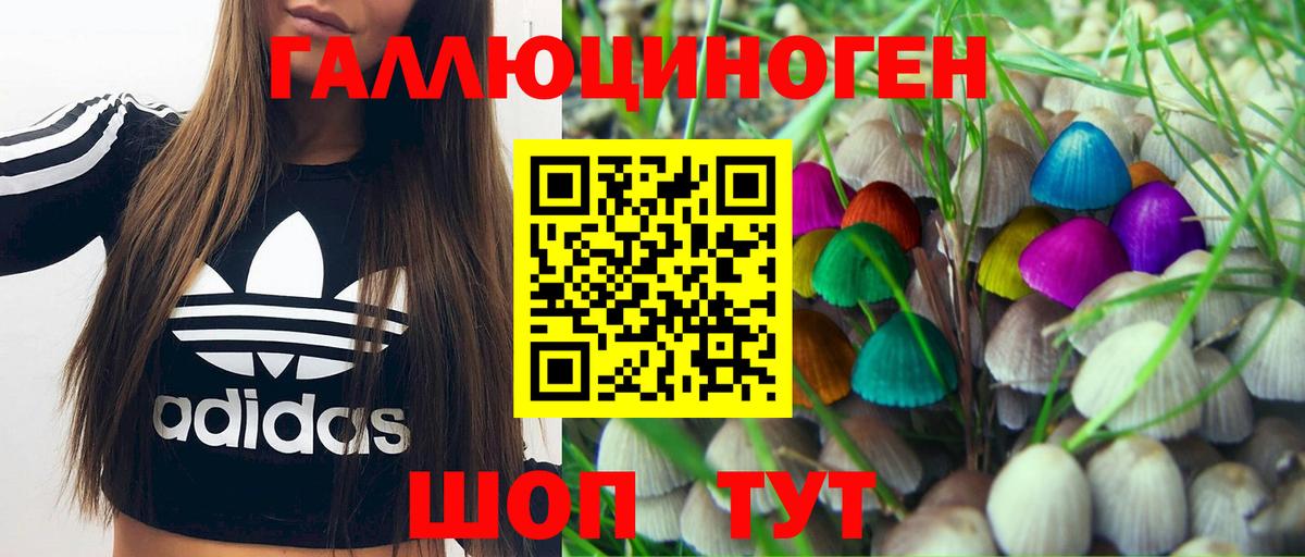 Галлюциногенные грибы мицелий Шуя