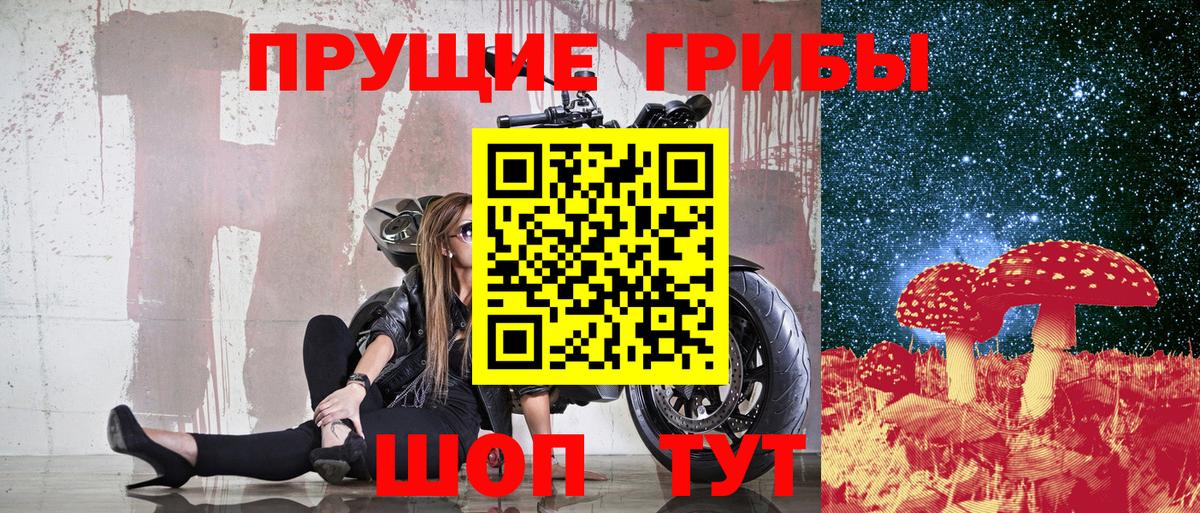 Галлюциногенные грибы Psilocybe  Вход с VPN  Шуя 
